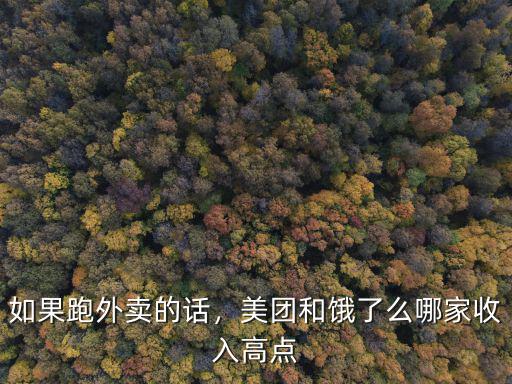 美團(tuán)樂(lè)跑深圳收入怎么樣,如果跑外賣的話