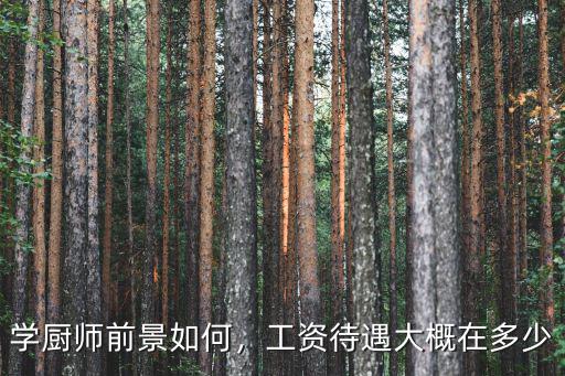 學廚師前景如何，工資待遇大概在多少