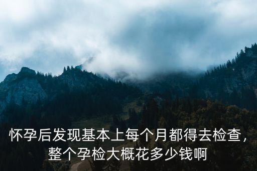 懷孕后發(fā)現(xiàn)基本上每個月都得去檢查，整個孕檢大概花多少錢啊