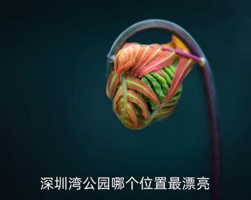 深圳灣公園哪個位置最漂亮