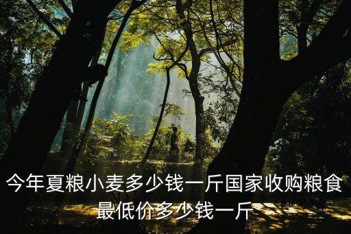 今年夏糧小麥多少錢一斤國家收購糧食最低價(jià)多少錢一斤