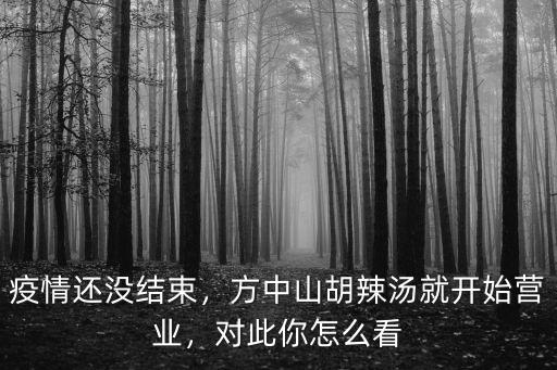 縣城開一家方中山胡辣湯怎么樣,方中山胡辣湯就開始營業(yè)