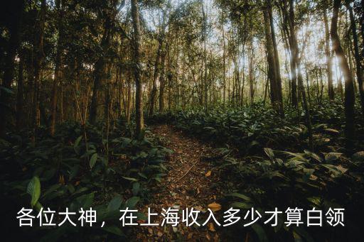 各位大神，在上海收入多少才算白領