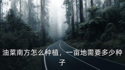 廣東種植油菜面積多少畝,油菜畝產有多少