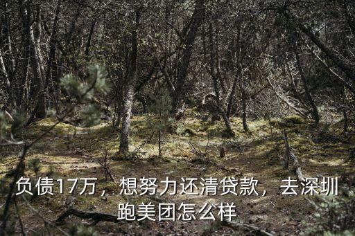 負債17萬，想努力還清貸款，去深圳跑美團怎么樣