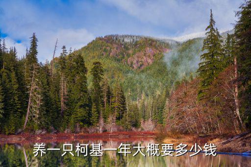 廣州知名寵物罐頭需要多少錢,寄存一天寵物狗狗需要多少錢