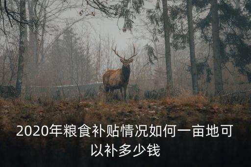 淄博桓臺(tái)21年糧食補(bǔ)貼每畝多少錢,2020年糧食補(bǔ)貼情況如何