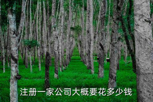 麗水注冊一家公司要多少錢,注冊一家公司大概要花多少錢