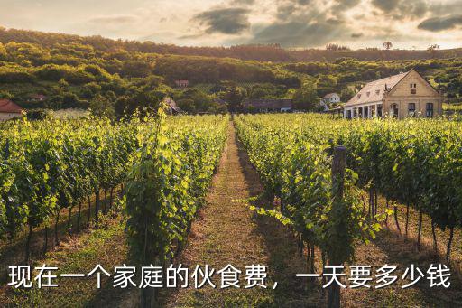 江門一職伙食費多少錢一餐,現在一個家庭的伙食費