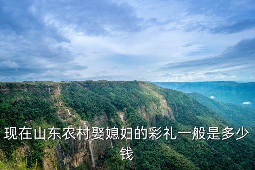 山東單縣結婚嫁妝多少錢,山東東營現在訂婚彩禮多少錢