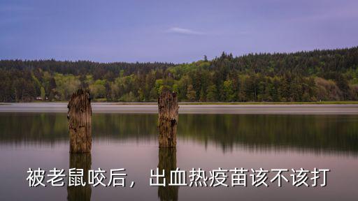 被老鼠咬后，出血熱疫苗該不該打