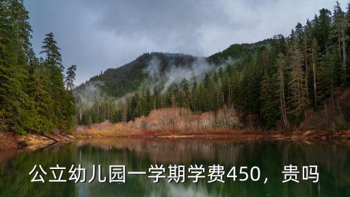 寧波公立幼兒園學(xué)費(fèi)多少錢(qián)一個(gè)月,公立幼兒園一學(xué)期學(xué)費(fèi)450