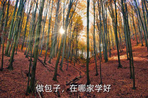 做包子，在哪家學(xué)好