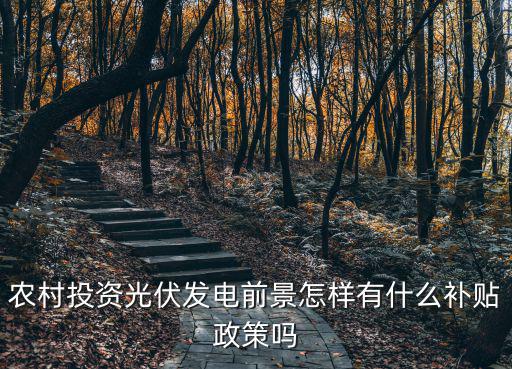 農村投資光伏發電前景怎樣有什么補貼政策嗎