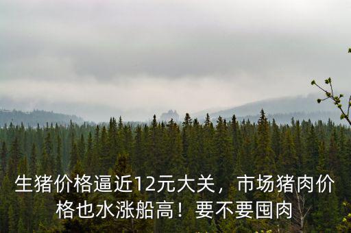 生豬價格逼近12元大關，市場豬肉價格也水漲船高！要不要囤肉