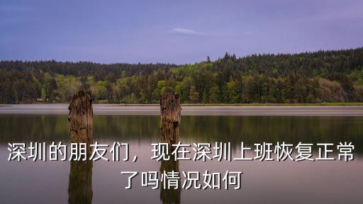深圳的朋友們，現在深圳上班恢復正常了嗎情況如何