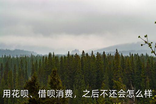 深圳花唄借唄會(huì)怎么樣,借唄逾期不還錢會(huì)怎樣