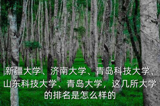 青島科技大學保研多少分,山東科技大學