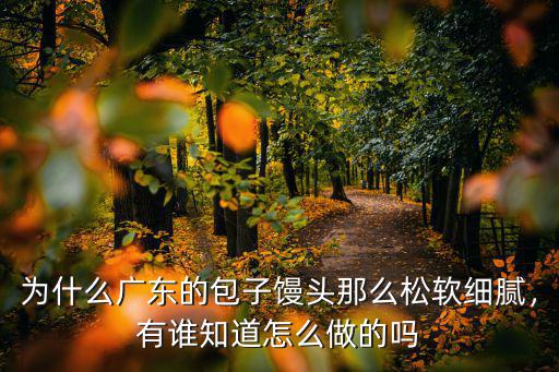 為什么廣東的包子饅頭那么松軟細膩，有誰知道怎么做的嗎