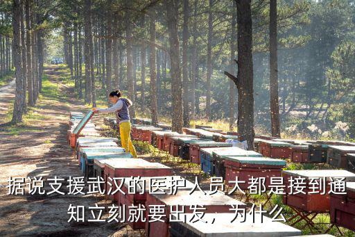 據說支援武漢的醫護人員大都是接到通知立刻就要出發，為什么