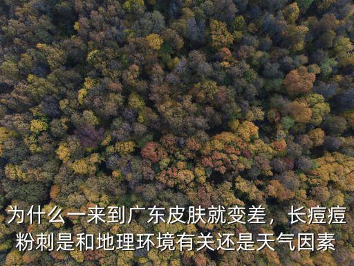 來廣州就長痘痘怎么回事,臉上總長痘痘是怎么回事