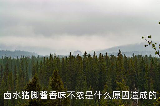 廣州鹵水豬腳味道怎么樣,隆江鹵水豬腳如何去腥