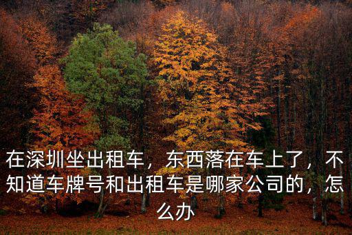深圳出租車(chē)牌號(hào)怎么找司機(jī),在深圳坐出租車(chē)
