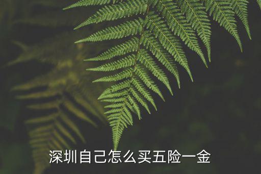 深圳個人怎么買社保最好,深圳個體戶自己交社保