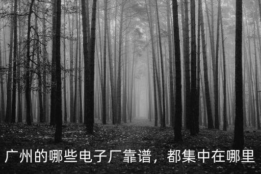 廣州的哪些電子廠靠譜，都集中在哪里
