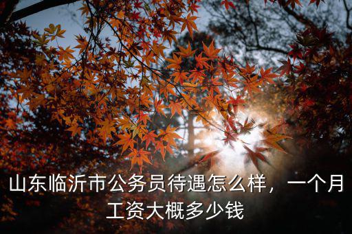 山東臨沂市公務(wù)員待遇怎么樣，一個月工資大概多少錢