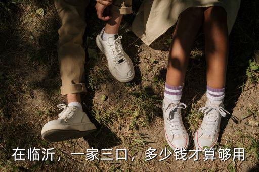在臨沂，一家三口，多少錢才算夠用