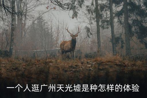 一個(gè)人逛廣州天光墟是種怎樣的體驗(yàn)