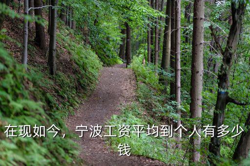 在現如今，寧波工資平均到個人有多少錢