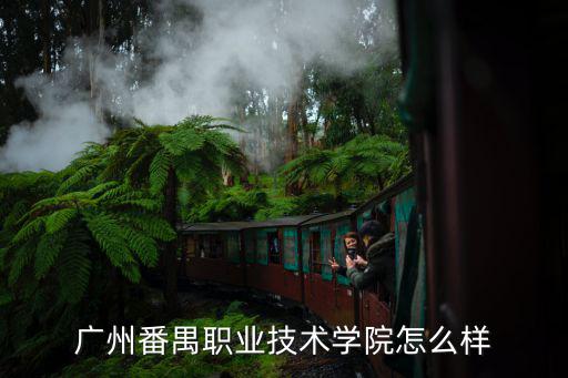 廣州市環境技術中心怎么樣6,廣州番禺職業技術學院怎么樣