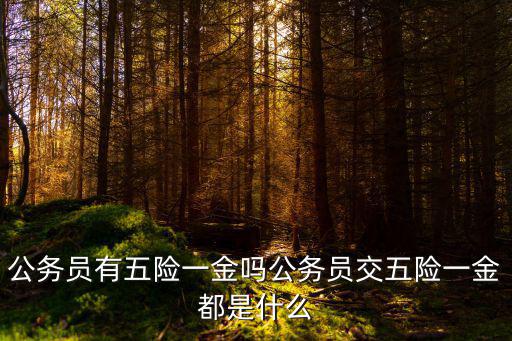 肇慶公務員五險一金繳納多少,公務員交五險一金都是什么