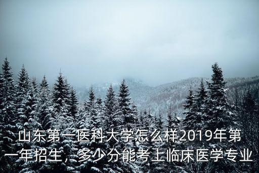 山東大學(xué)有臨床醫(yī)學(xué)多少分,山東大學(xué)臨床醫(yī)學(xué)專業(yè)怎么樣
