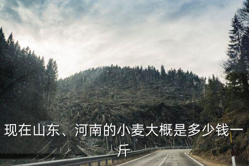 臨沂市小麥多少錢一斤,今年夏糧小麥多少錢一斤