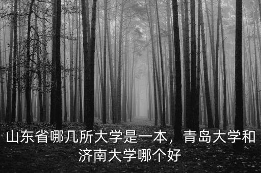 濟(jì)南大學(xué)是多少本,青島大學(xué)和濟(jì)南大學(xué)哪個(gè)好