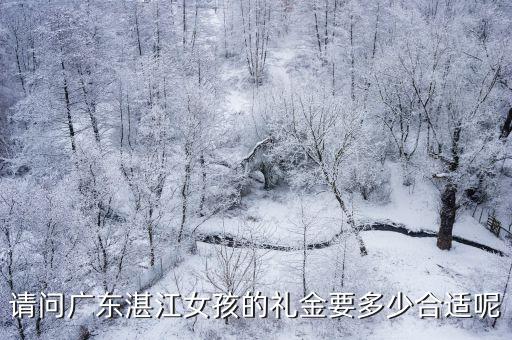請(qǐng)問廣東湛江女孩的禮金要多少合適呢