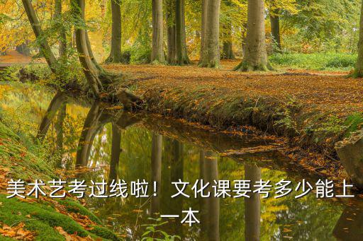 深圳美術生文化課考多少分能上,美術藝考過線啦
