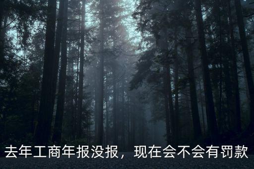 深圳工商年報(bào)兩年沒(méi)報(bào)罰款多少,去年工商年報(bào)沒(méi)報(bào)