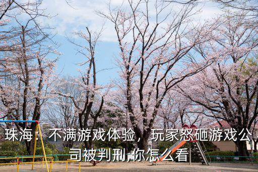 珠海：不滿(mǎn)游戲體驗(yàn)，玩家怒砸游戲公司被判刑,你怎么看