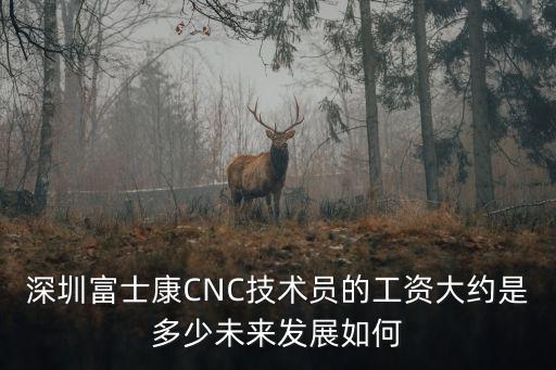 深圳富士康2018工資多少,深圳富士康普通工人工資多少