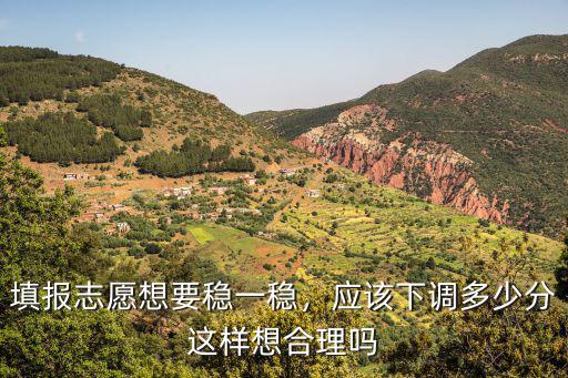 填報志愿想要穩(wěn)一穩(wěn)，應(yīng)該下調(diào)多少分這樣想合理嗎