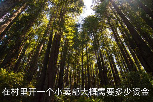 在村里開(kāi)一個(gè)小賣部大概需要多少資金