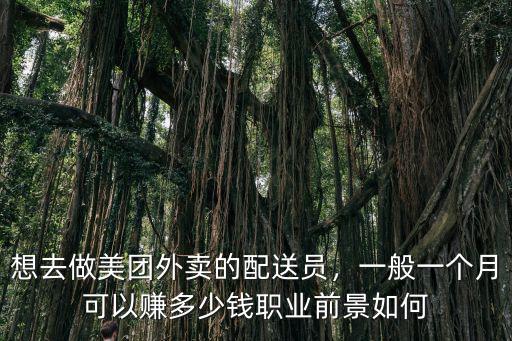 想去做美團外賣的配送員，一般一個月可以賺多少錢職業(yè)前景如何