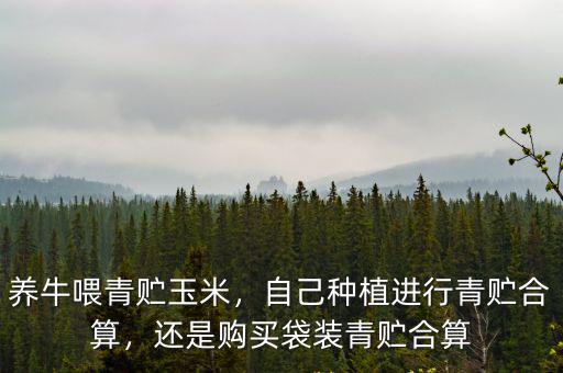 養(yǎng)牛喂青貯玉米，自己種植進行青貯合算，還是購買袋裝青貯合算