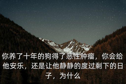 你養了十年的狗得了惡性腫瘤，你會給他安樂，還是讓他靜靜的度過剩下的日子，為什么