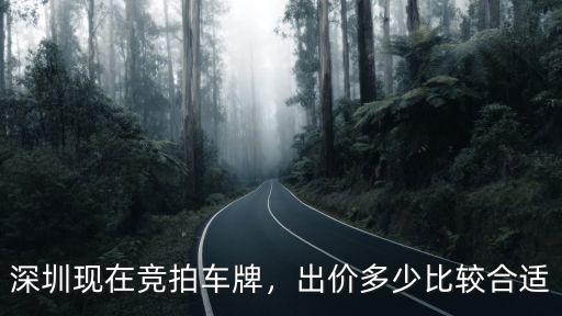 深圳現(xiàn)在競(jìng)拍車(chē)牌，出價(jià)多少比較合適