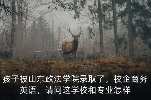 孩子被山東政法學院錄取了，校企商務英語，請問這學校和專業怎樣